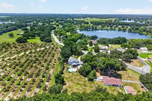 17730 County Rd 448, Mount Dora, FL 32757 - Photo 63
