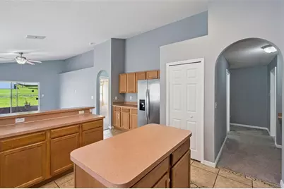 324 Red Kite Drive, Groveland, FL 34736 - Photo 19