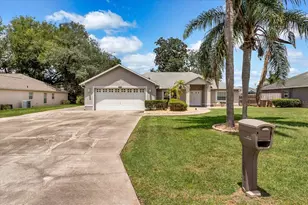 10217 Spring Moss Ave, Clermont, FL 34711 - Photo 3