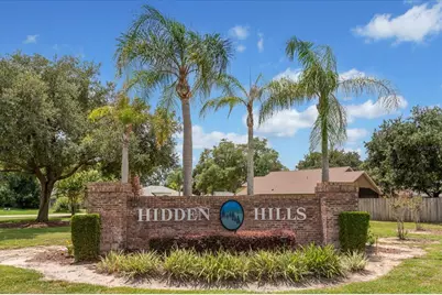 10217 Spring Moss Avenue, Clermont, FL 34711 - Photo 27