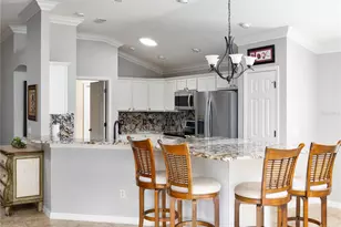 756 Endicott Way, The Villages, FL 32162 - Photo 19