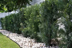 1051 Wax Myrtle Ave, Minneola, FL 34715 - Photo 45