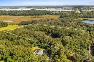 18934 State Road 19, Groveland, FL 34736 - Photo 61