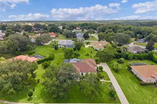 39407 Treeline Dr, Lady Lake, FL 32159 - Photo 69