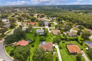 39407 Treeline Dr, Lady Lake, FL 32159 - Photo 81