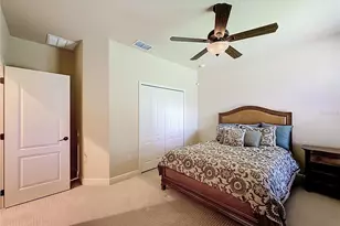 5905 Tangerine Reserve Ct, Mount Dora, FL 32757 - Photo 49