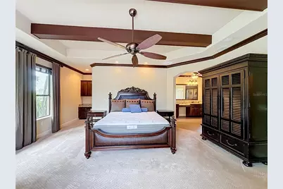 5905 Tangerine Reserve Court, Mount Dora, FL 32757 - Photo 27
