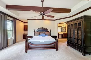 5905 Tangerine Reserve Ct, Mount Dora, FL 32757 - Photo 27