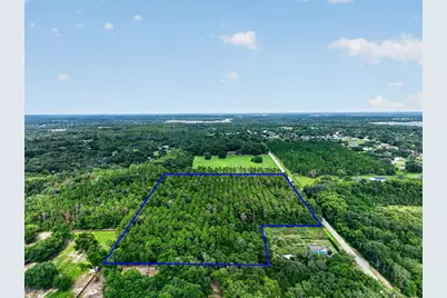 Dudley Avenue, Mount Dora, FL 32757 - Photo 5