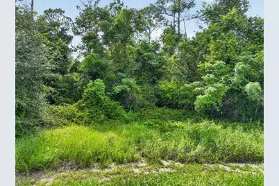Dudley Avenue, Mount Dora, FL 32757 - Photo 15