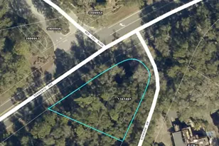25950 Sorrento Ave., Mount Plymouth, FL 32776 - Photo 1