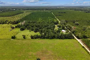 15518 192nd St, O'Brien, FL 32071 - Photo 3