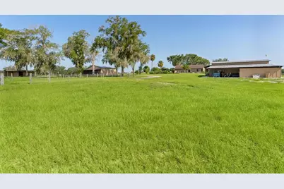 16215 Douglas Road, Groveland, FL 34736 - Photo 3