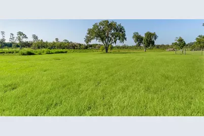 16215 Douglas Road, Groveland, FL 34736 - Photo 9