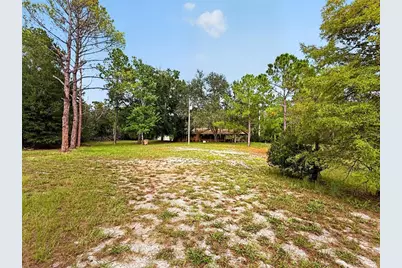 24939 Old Deer Road, Paisley, FL 32767 - Photo 5