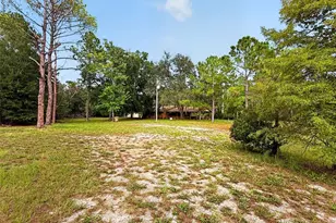 24939 Old Deer Rd, Paisley, FL 32767 - Photo 5