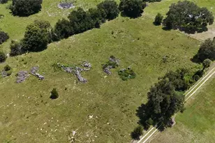 2665 2639 E Hwy 466, Oxford, FL 34484 - Photo 5