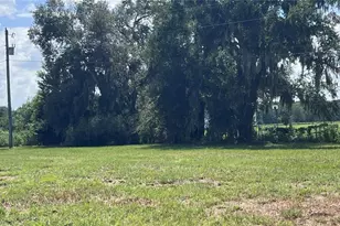 2665 2639 E Hwy 466, Oxford, FL 34484 - Photo 19