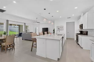 4937 Golden Zenith Wy, Mount Dora, FL 32757 - Photo 11