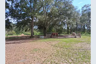 23430 N Austin Merritt Road, Groveland, FL 34736 - Photo 11