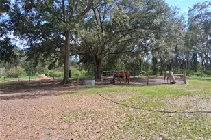 23430 N Austin Merritt Rd, Groveland, FL 34736 - Photo 11