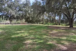 23430 N Austin Merritt Rd, Groveland, FL 34736 - Photo 5