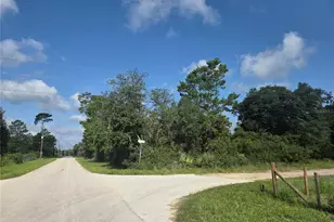 Pine St, Paisley, FL 32767 - Photo 1