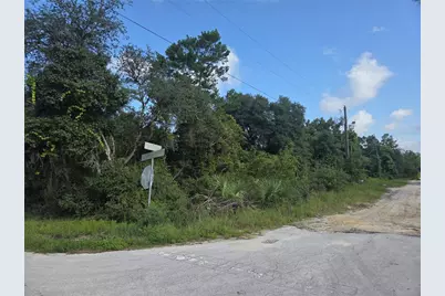 Pine Street, Paisley, FL 32767 - Photo 3