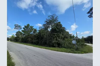 Pine Street, Paisley, FL 32767 - Photo 5
