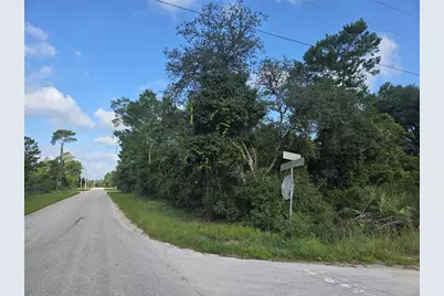 Pine Street, Paisley, FL 32767 - Photo 3