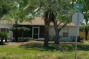 931 Cedar Cir, Tavares, FL 32778 - Photo 1