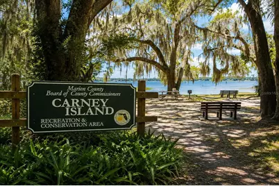 Tbd SE 126th Street, Belleview, FL 34420 - Photo 11