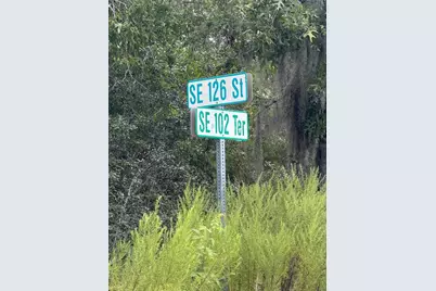Tbd SE 126th Street, Belleview, FL 34420 - Photo 3
