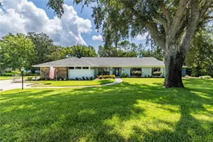 33816 Spring Dr, Leesburg, FL 34788 - Photo 37
