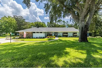 33816 Spring Drive, Leesburg, FL 34788 - Photo 1