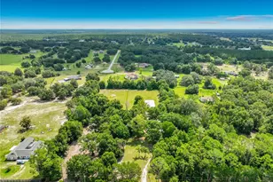34814 William Ln, Eustis, FL 32736 - Photo 71