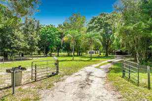 34814 William Ln, Eustis, FL 32736 - Photo 5