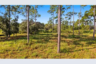 2521 Mills Creek Road, Chuluota, FL 32766 - Photo 15