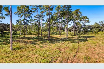 2521 Mills Creek Road, Chuluota, FL 32766 - Photo 13
