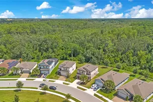 16959 Basswood Ln, Clermont, FL 34714 - Photo 39