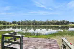 21824 Tartan St, Leesburg, FL 34748 - Photo 33