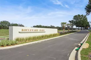 419 Skyfield Ct, Lady Lake, FL 32159 - Photo 31