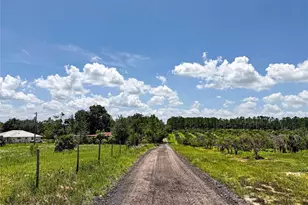 37647 Jenny Ln, Eustis, FL 32736 - Photo 3