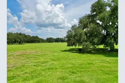 0 W C-478, Webster, FL 33597 - Photo 7