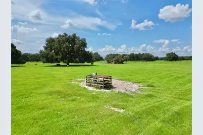 0 W C-478, Webster, FL 33597 - Photo 15