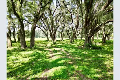 00 C-478 W, Webster, FL 33597 - Photo 7