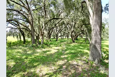 00 C-478 W, Webster, FL 33597 - Photo 5