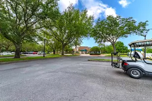1024 St Ives Ct, Mount Dora, FL 32757 - Photo 19