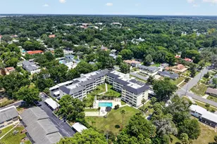 101 N Grandview St, Mount Dora, FL 32757 - Photo 49