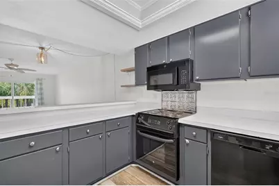 101 N Grandview Street #203, Mount Dora, FL 32757 - Photo 9